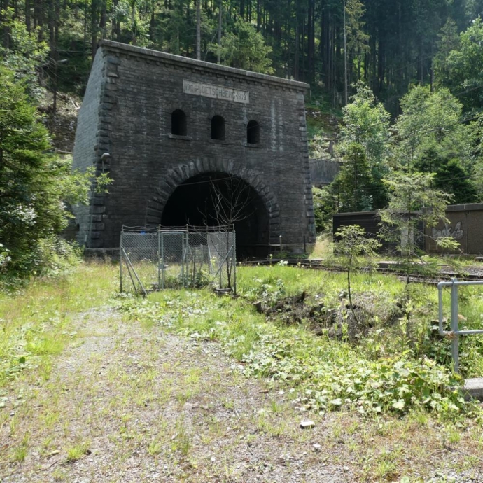 Erneuerung Fahrbahn Lötschberg Scheiteltunnel, Umweltbaubegleitung
