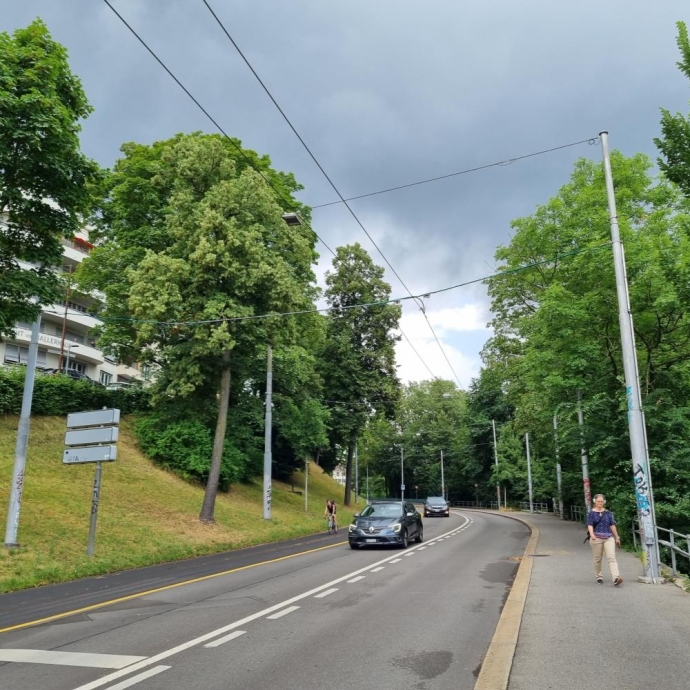Neubrückstrasse Trolleybus Linie 11, Bern