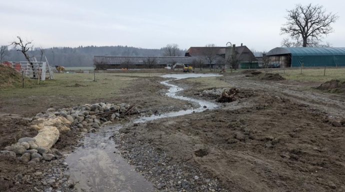 Offenlegung Spilwaldbach, Mühleberg - Bild 2