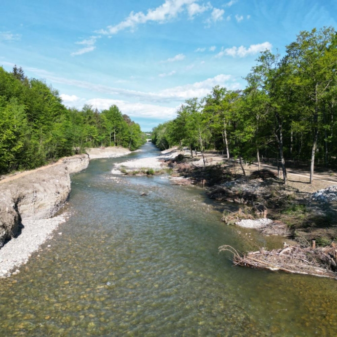Flussaufweitung Sense Oberflamatt - Bild 2