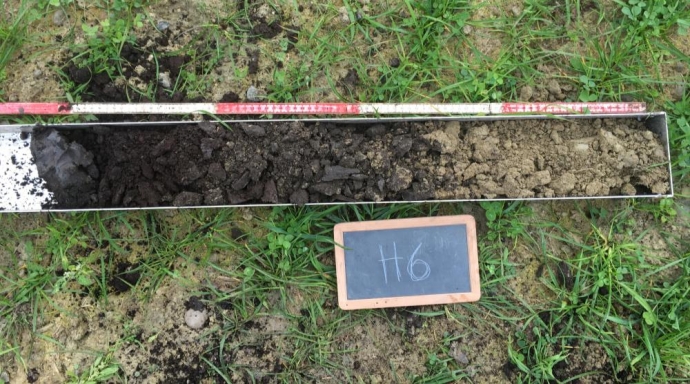 Aufwertung Hauptkanal Kallnach, Renaturierungsprojekt - Bild 3