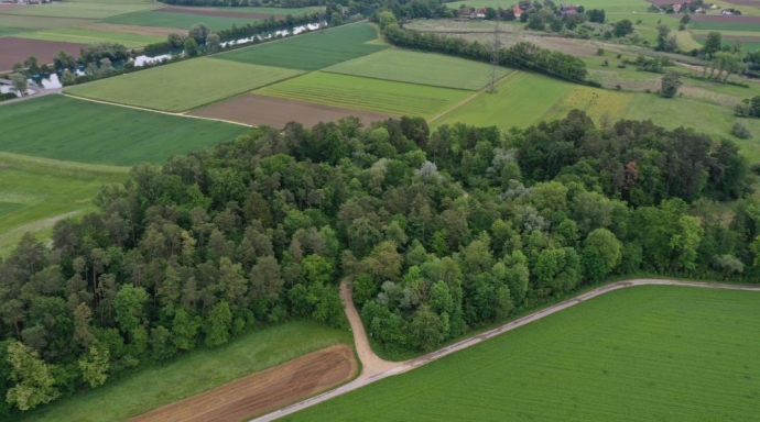 Aufwertung Naturschutzgebiet Meienriedloch - Bild 3