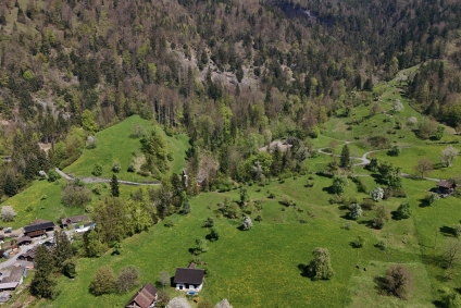 heute