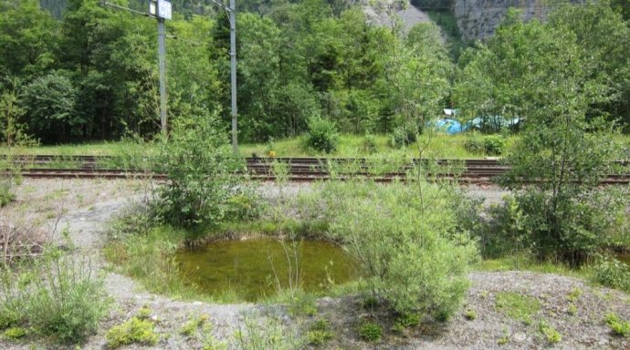 Erneuerung Fahrbahn Lötschberg Scheiteltunnel, Umweltbaubegleitung - Bild 2