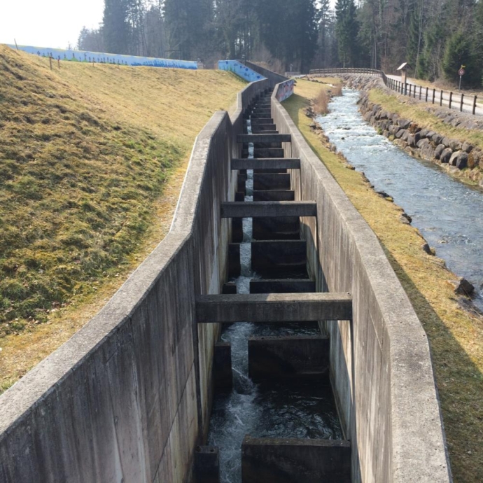 Kraftwerk Sarneraa, Sanierung Fischaufstieg Wehr Wichelsee