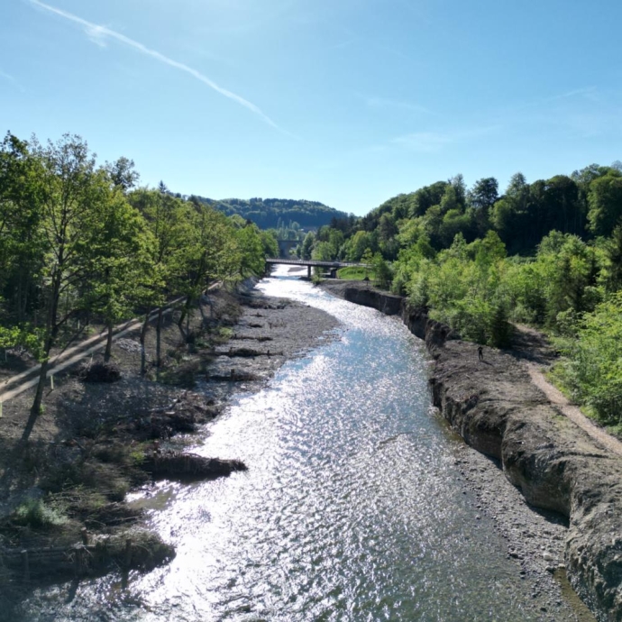 Flussaufweitung Sense Oberflamatt