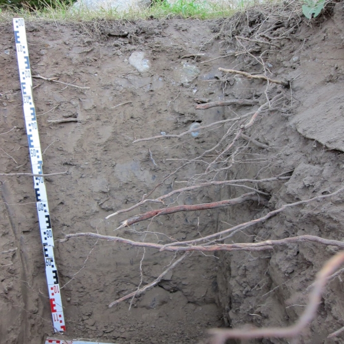 Sanierung Freiburgstrasse Wangental Oberwangen