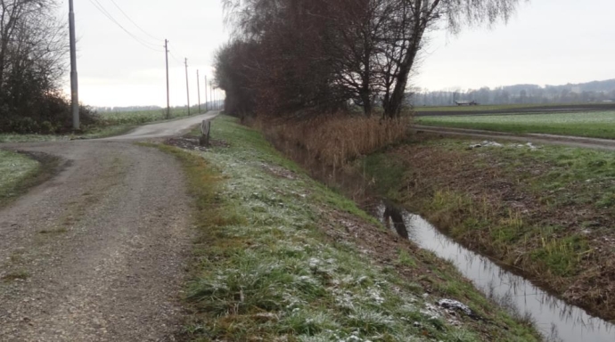 Aufwertung Hauptkanal Kallnach, Renaturierungsprojekt - Bild 2