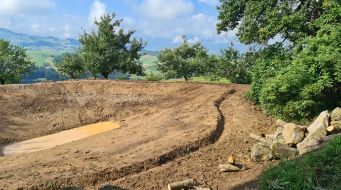 Weiherbau Beutler, Buchholterberg - Bild 2