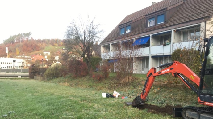 Bachrenaturierung Wangental - Bild 2